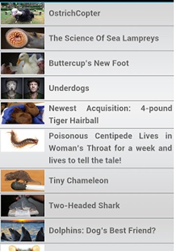 Ripley's Weird News截图7