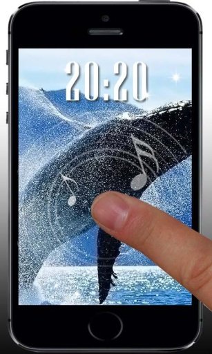 Whale Killer Sea livewallpaper截图6