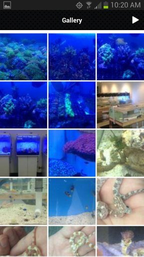 Xzotic Aquatic World截图6