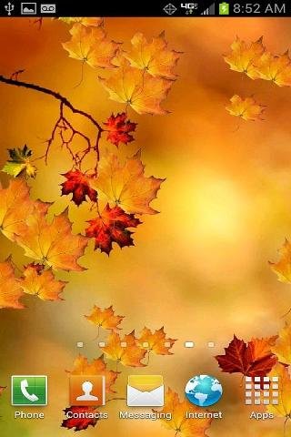 Autumn Branch Live Wallpaper截图3