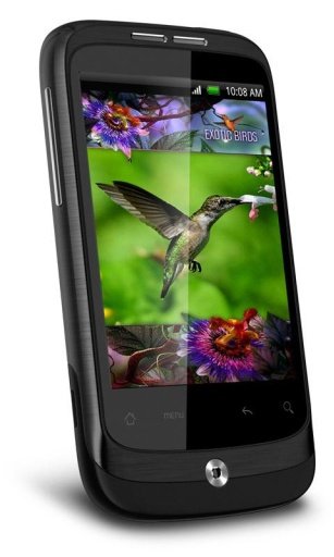 Colibri House Live Wallpaper截图1