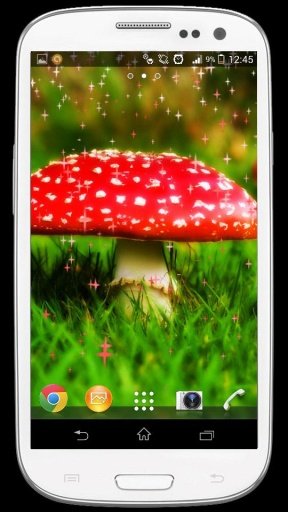 Magic Mushrooms LWP by Rocking截图4