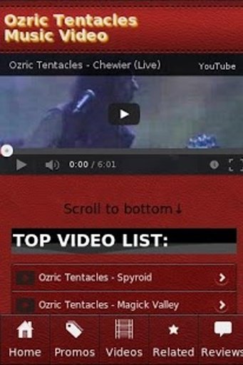 Ozric Tentacles Music Video截图4