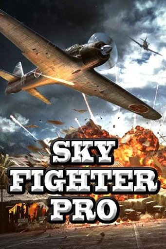 Sky Fighter Pro截图8