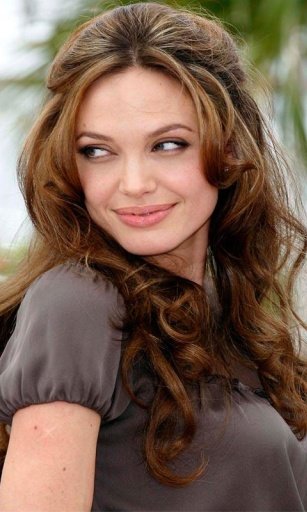 Angelina Jolie Game Puzzle截图4