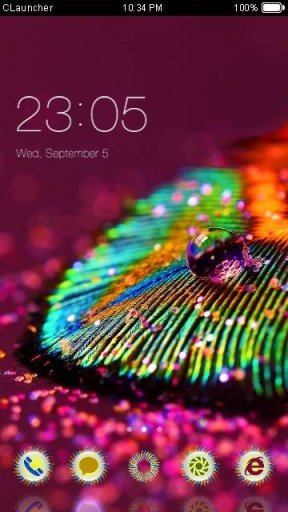 Macro Feather C Launcher Theme截图1