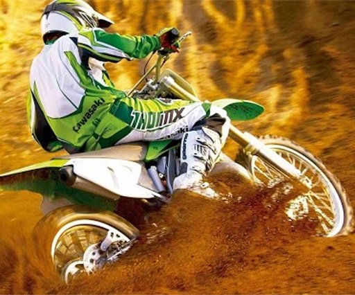 Mad Skills Motocross截图4