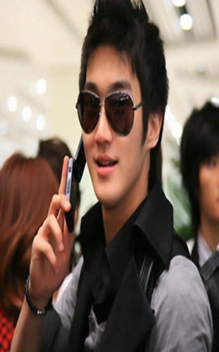 Choi Siwon Fans Games截图2