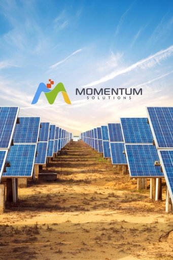 Momentum Solutions截图2