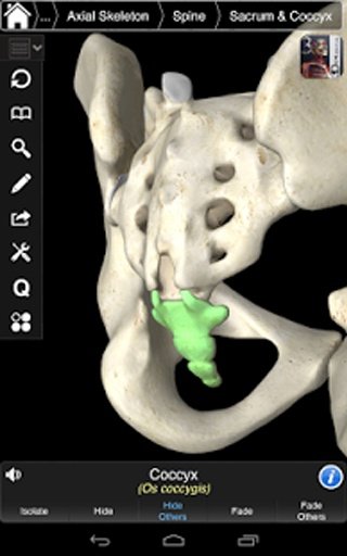 Essential Skeleton 3截图8