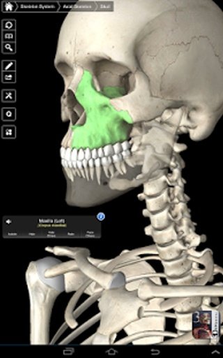 Essential Skeleton 3截图2