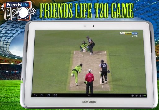 Friends Life T20 Cricket Game截图2