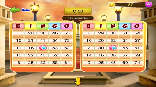 Best Bingo Game截图2