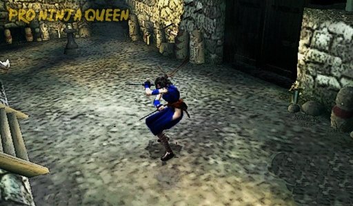 Pro Ninja Queen截图1