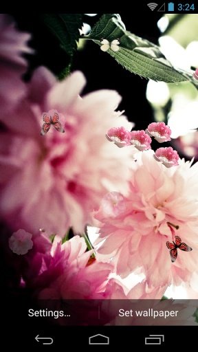 Sakura HD Live Wallpaper截图6