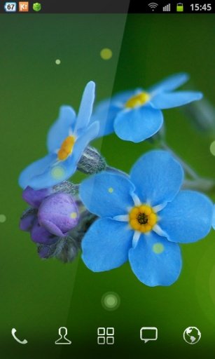 Xperia Blue Flowers LWP截图5