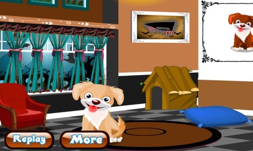 Talking Dog Free Room Game截图4