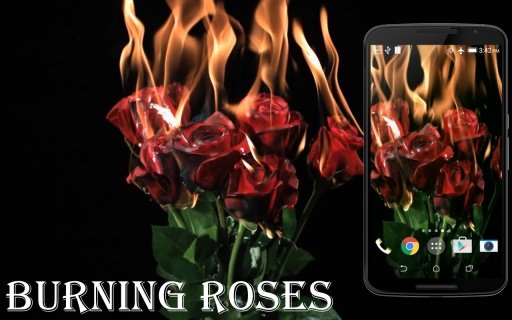 Burning Roses Live Wallpaper截图3