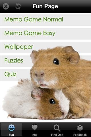 Guinea Pig+ Free截图3