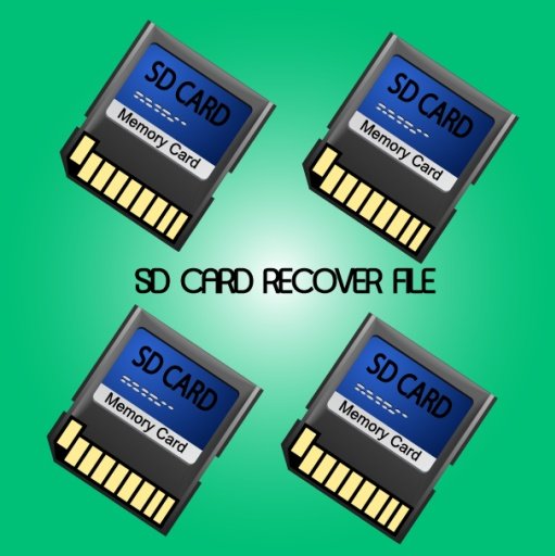 SD Card Recover Files Data截图2