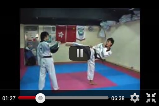 Taekwondo Techniques Tube截图3