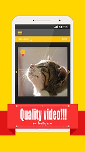 TOP 10-INSTAGRAM CAT VIDEO截图1