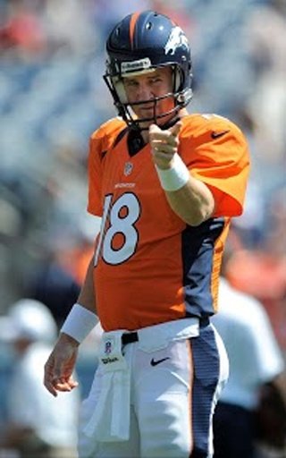 Peyton Manning Puzzle截图8