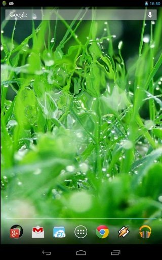 Live Grass HD截图2