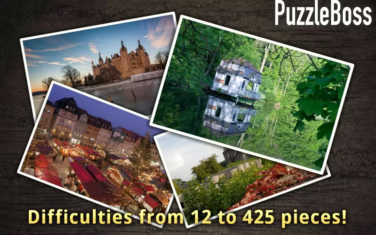 German Jigsaw Puzzles FREE截图8