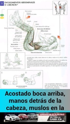 Ejercicios Abdominales Total截图3