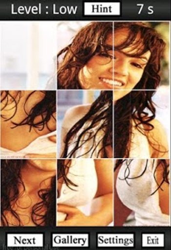 Michelle Rodriguez Fans Puzzle截图6