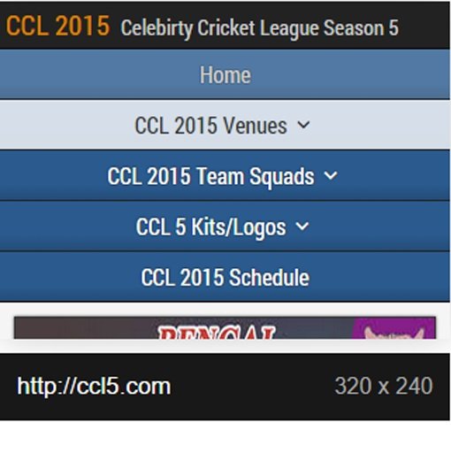 CCL2015 Schedule &amp; Live Scores截图3