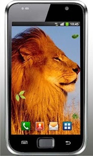 Lions Wild HD live wallpaper截图5