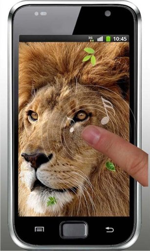 Lions Wild HD live wallpaper截图3