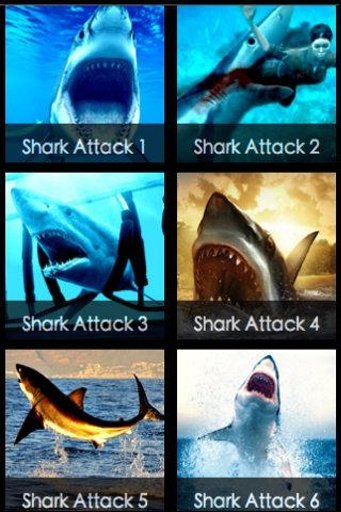 Hungry Attack Sharks截图2