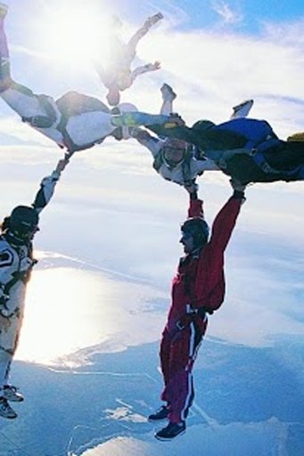 Sky Diving HD Live Wallpaper截图4