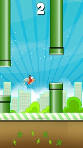 Flap Bird Flap!截图1