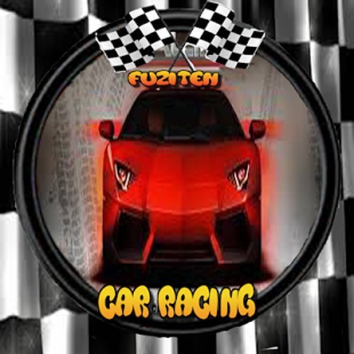 CAR RACING KING截图1