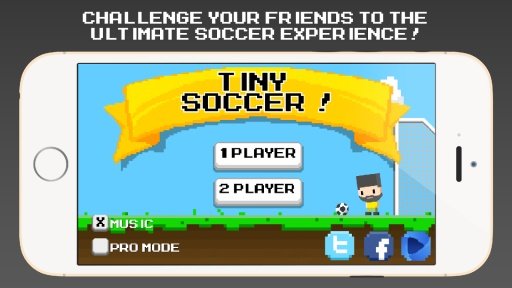 Tiny Soccer截图3