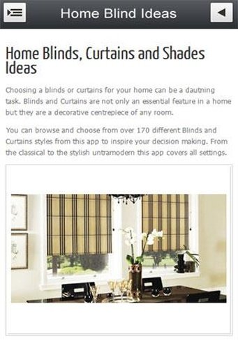 Home Blinds and Shades Ideas截图3