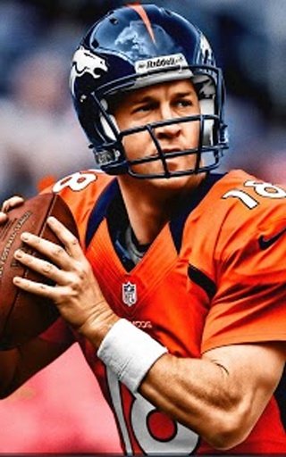 Peyton Manning Puzzle截图3