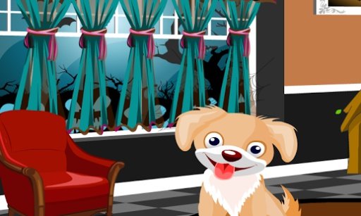 Talking Dog Free Room Game截图1