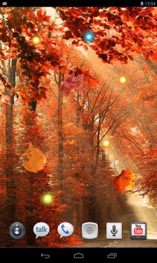 Autumn Cool HQ live wallpaper截图3