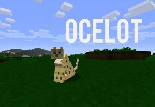 Ocelot Cat Puzzle Heroes截图1