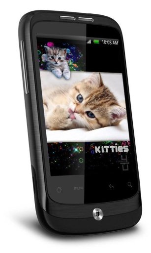 Funny Kitty HD Live Wallpaper截图2