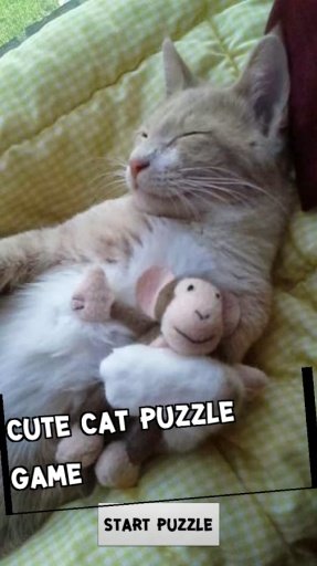 Hello Catty Puzzle Game截图5