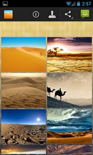 Desert Wallpapers截图1