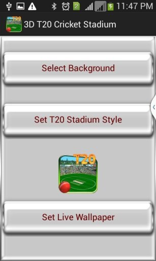 3D Cricket Stadium截图6