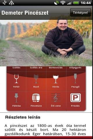 Wine in Hungary截图1