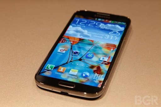 Samsung Galaxy S4 For Dummy截图5